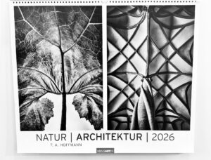 Ein Schwarz-Weiß-Kalenderblatt für das Jahr 2026 zeigt links ein Blatt in Nahaufnahme und rechts eine architektonische Decke, die beide ähnliche aderartige Strukturen aufweisen.