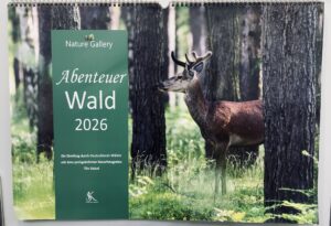 Ein Kalendercover mit dem Titel "Abenteuer Wald 2026" mit dem Foto eines Rehs in einem grünen Wald.