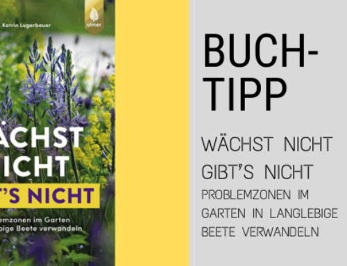 Buchtipp: Wächst nicht – Gibt’s nicht