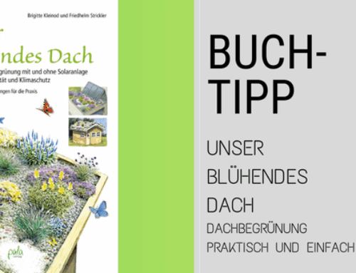 Buchtipp: Unser blühendes Dach – Ein Dachbegrünung Praxisbuch