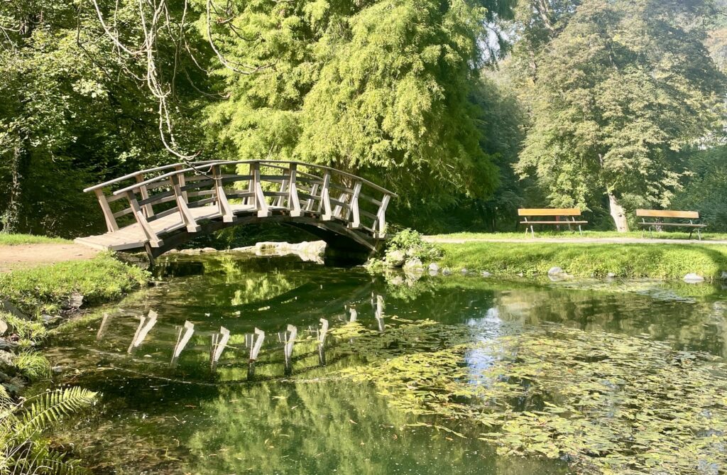 Ein hölzerner Steg führt über einen Teich, der von üppigem Grün umgeben ist. In der Nähe stehen zwei leere Bänke im Gras, und das Sonnenlicht dringt durch die Bäume.