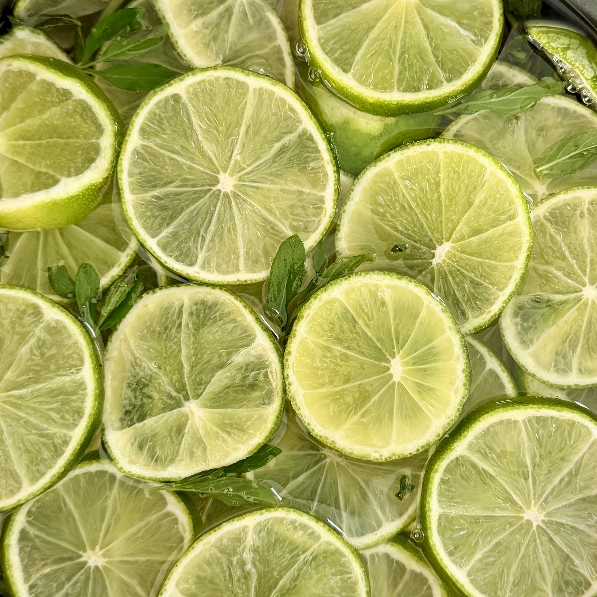 Im Wasser schwimmende Limettenscheiben und grüne Blätter.