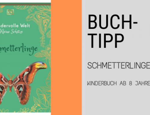 Kinderbuch Schmetterlinge: Die wundervolle Welt der Schmetterlinge entdecken