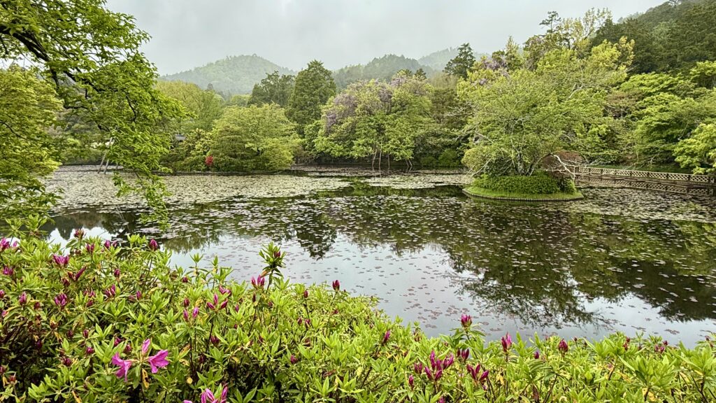 Ein Teich, umgeben von grünen Bäumen und blühenden Sträuchern, mit Bergen und bewölktem Himmel im Hintergrund.