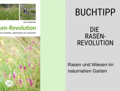Buchtipp: Naturnaher Rasen und Wiesen für mehr Artenvielfalt